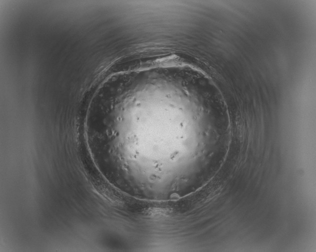 X0000056370255200509021822