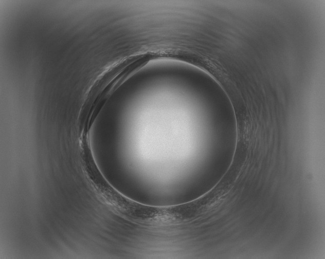 X0000056370256200509021822