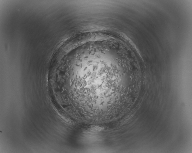 X0000056370257200509021822