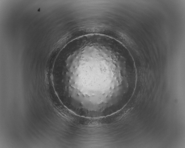 X0000056370258200509021822