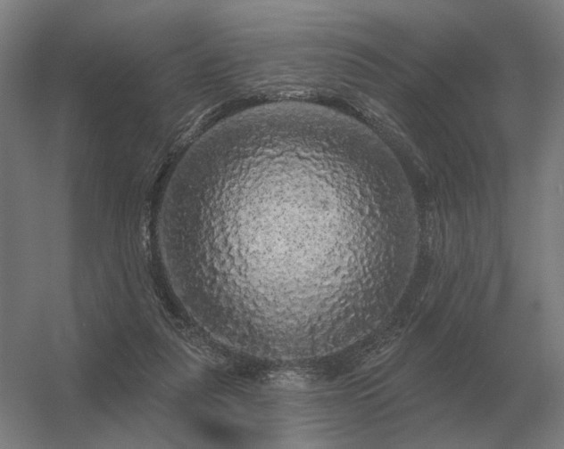 X0000056370259200509021822