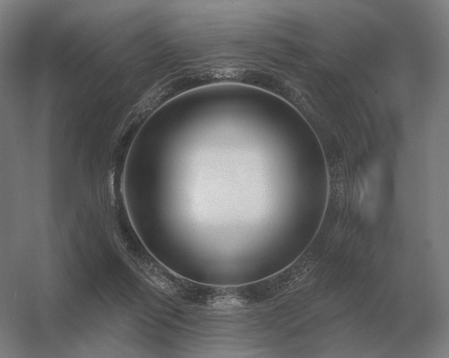 X0000056370262200509021822