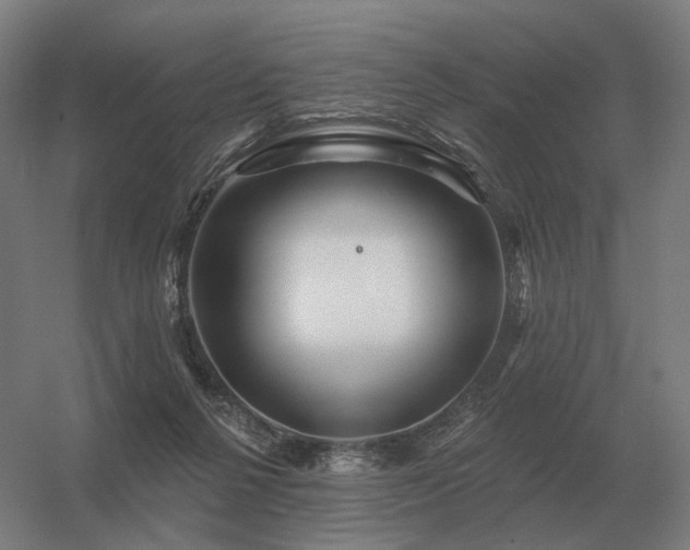 X0000056370264200509021822