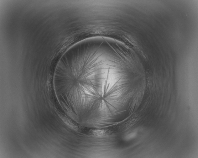 X0000056370265200509021822