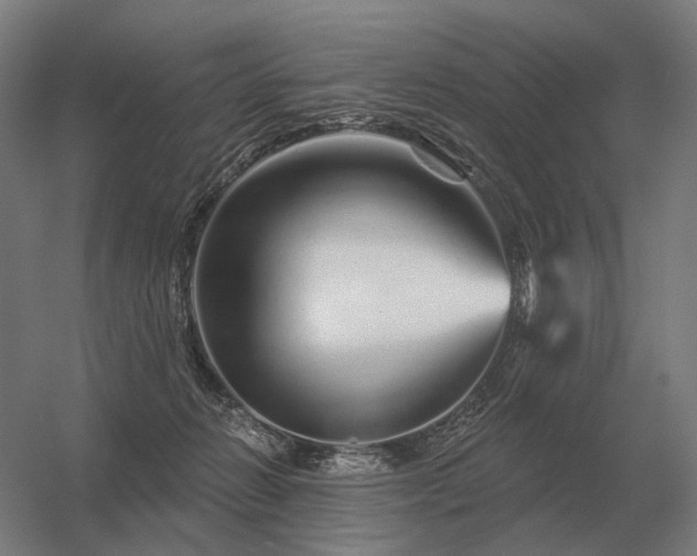 X0000056370270200509021822