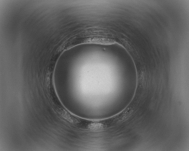 X0000056370271200509021822