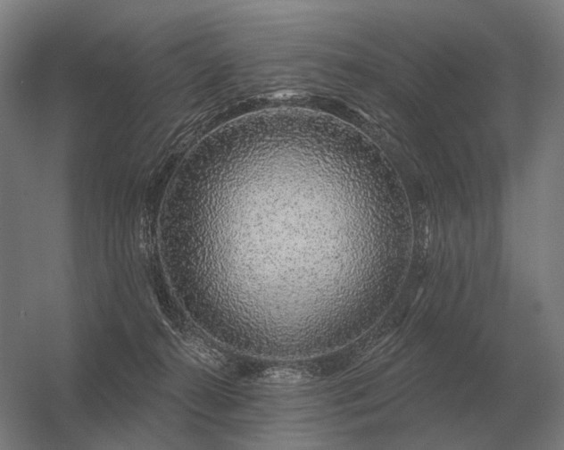 X0000056370272200509021822