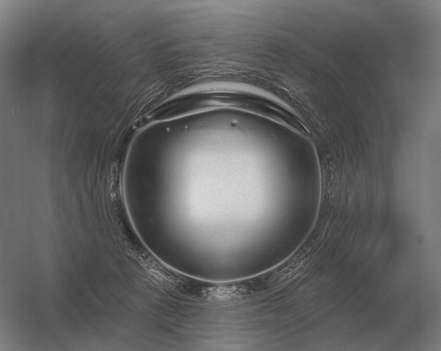 X0000056370273200509021822