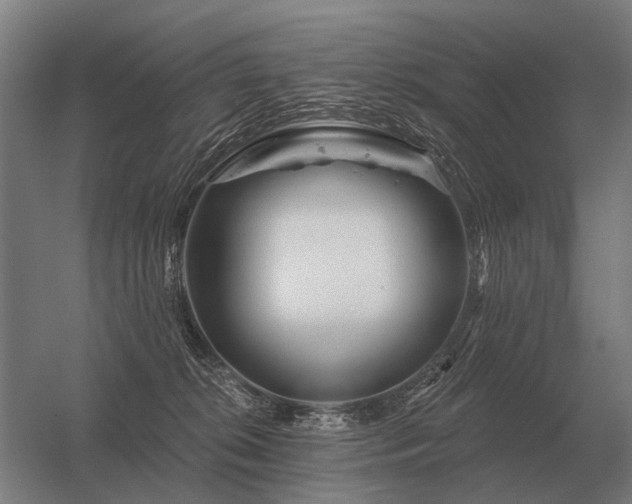 X0000056370276200509021822