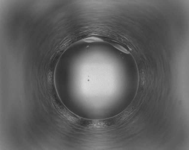 X0000056370278200509021822