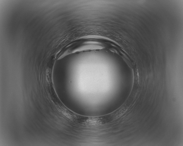 X0000056370280200509021822