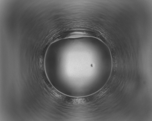 X0000056370281200509021822