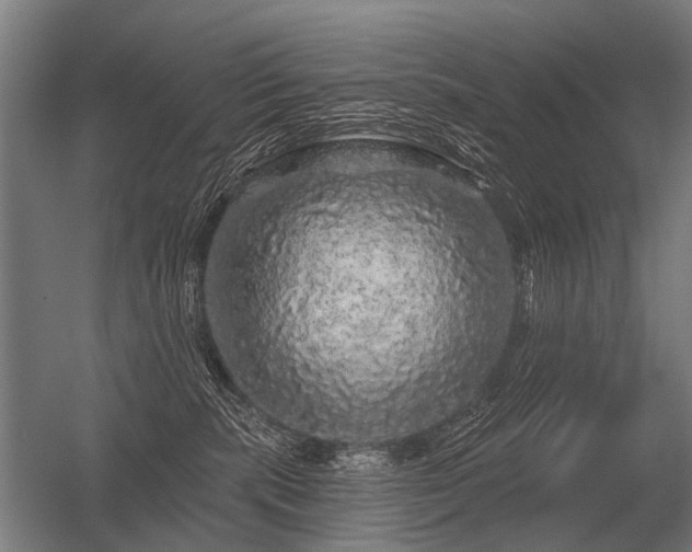 X0000056370283200509021822