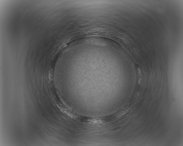 X0000056370284200509021822