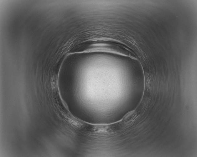 X0000056370285200509021822