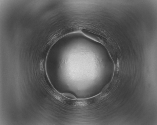 X0000056370286200509021822