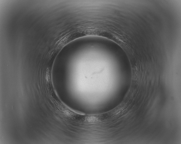 X0000056370287200509021822