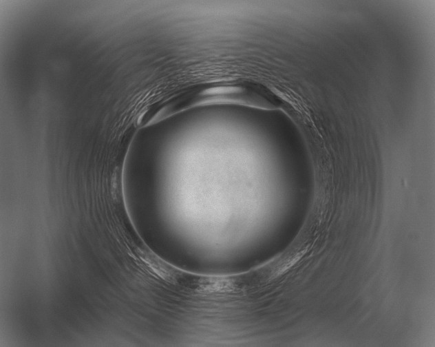 X0000056370288200509021822