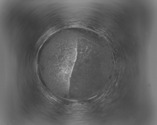 X0000056370290200509021821