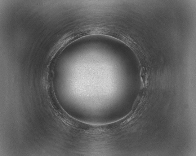 X0000056370291200509021821