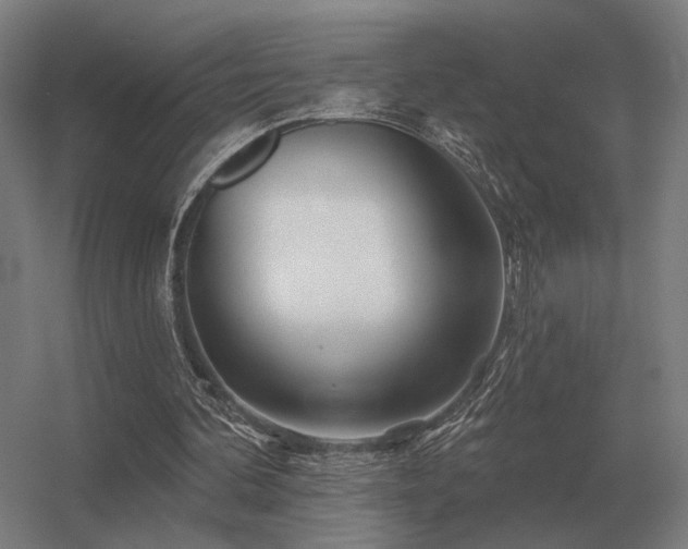 X0000056370292200509021821