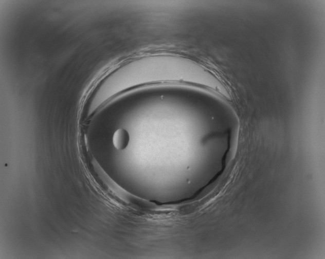 X0000056370293200509021821