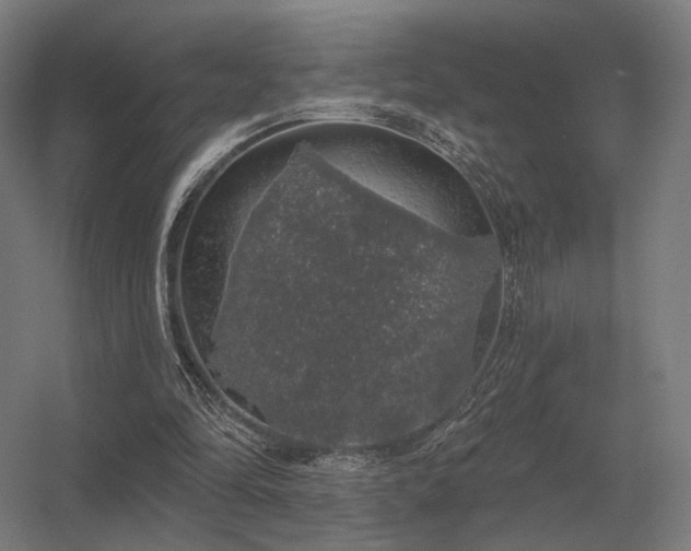 X0000056370294200509021821