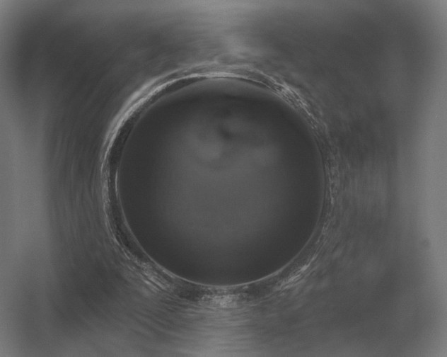 X0000056370295200509021821