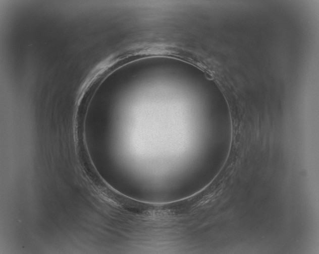 X0000056370296200509021821