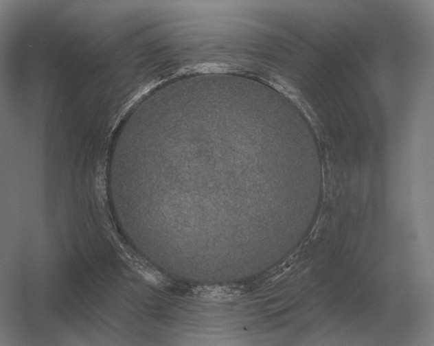 X0000056370297200509021821