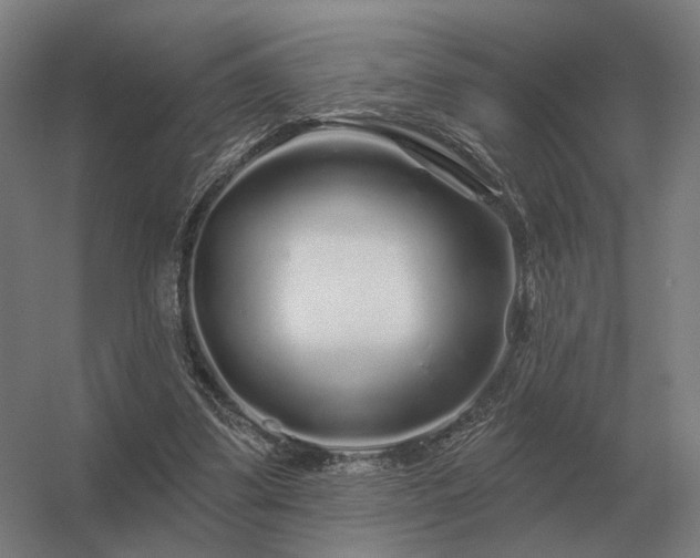 X0000056370299200509021821