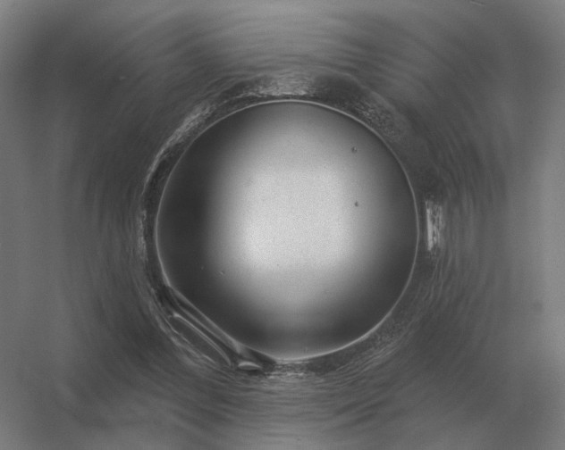 X0000056370300200509021821