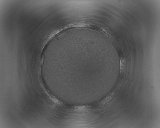 X0000056370301200509021821