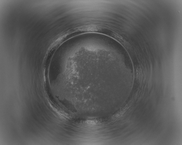 X0000056370302200509021821