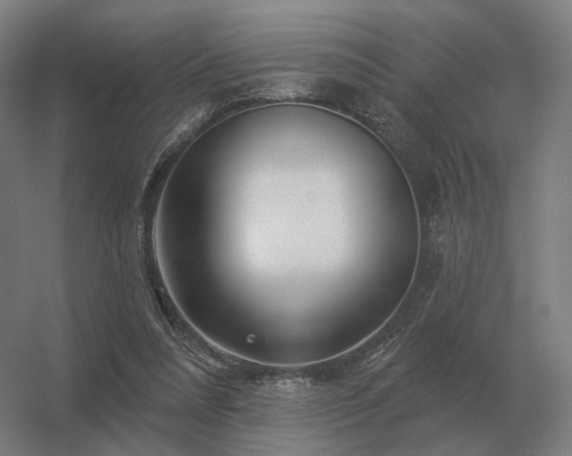 X0000056370304200509021821