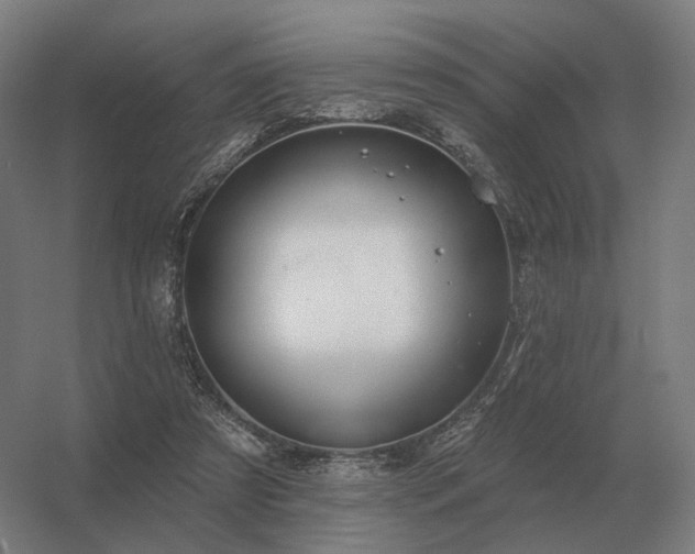 X0000056370305200509021821