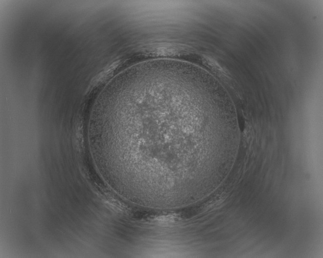 X0000056370306200509021821