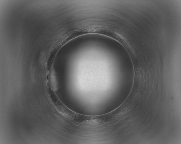 X0000056370307200509021821