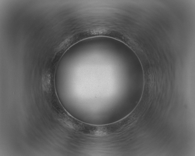 X0000056370308200509021821