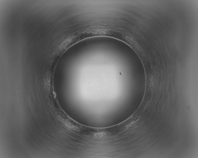 X0000056370309200509021821