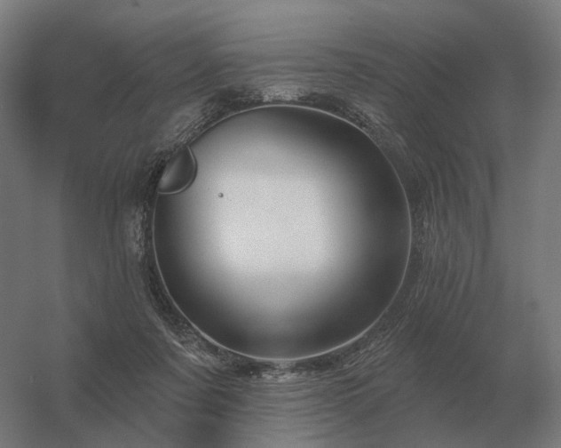 X0000056370311200509021821