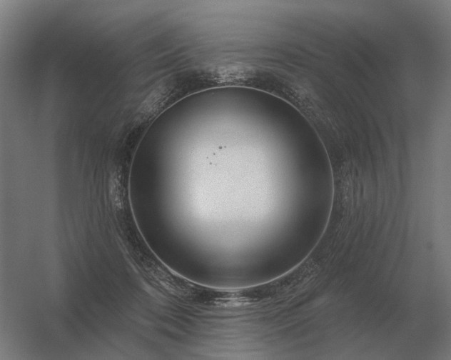 X0000056370316200509021821