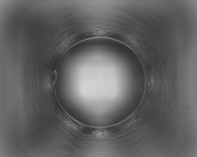 X0000056370317200509021821