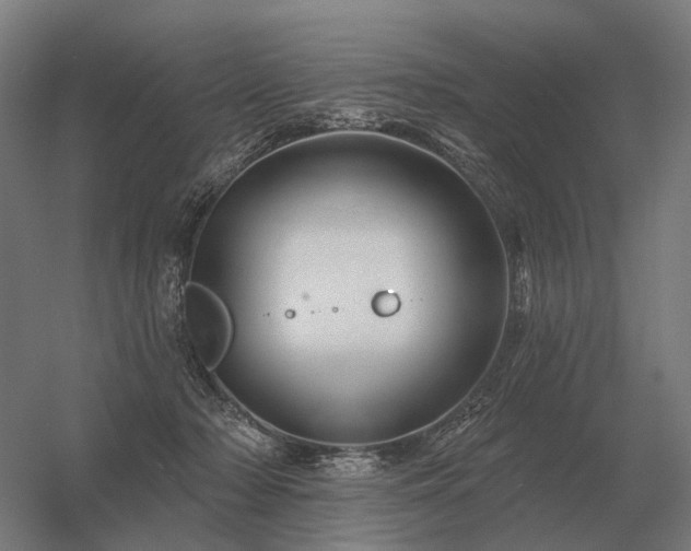 X0000056370318200509021821