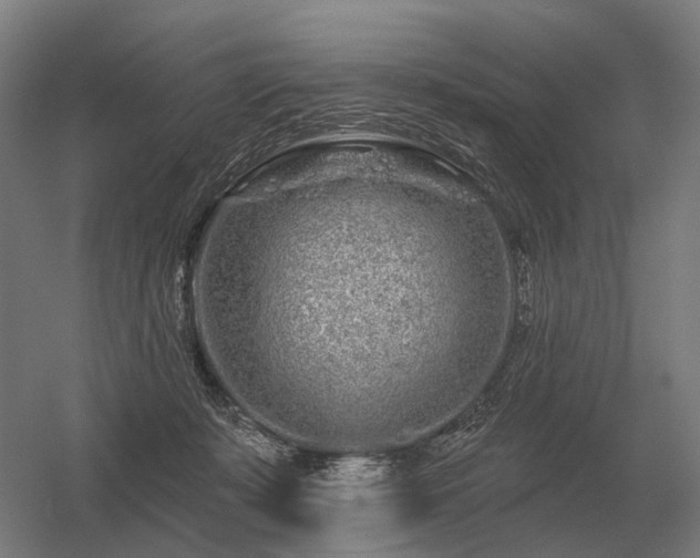 X0000056370319200509021821