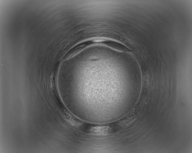 X0000056370323200509021821