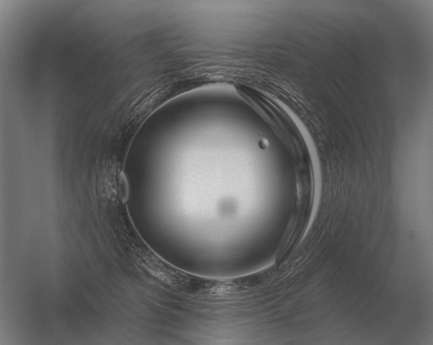 X0000056370325200509021821