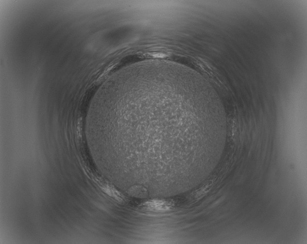 X0000056370326200509021821