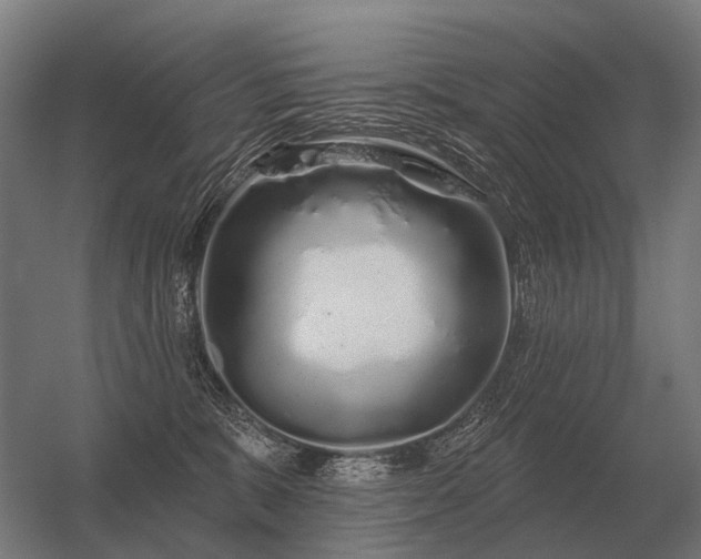 X0000056370327200509021821