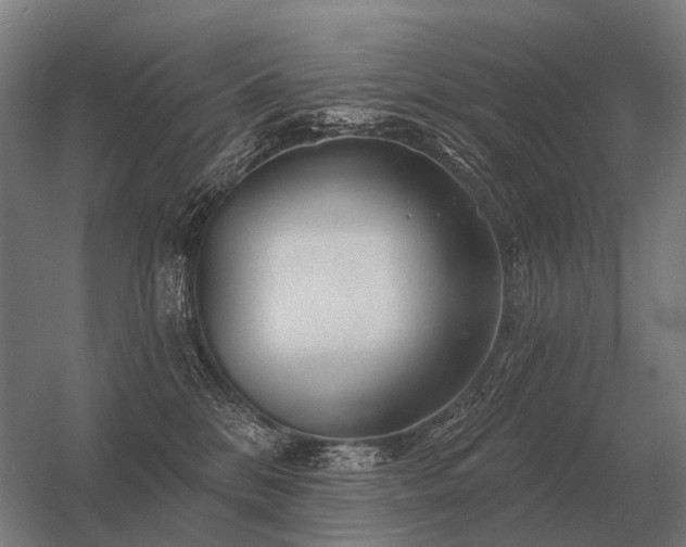 X0000056370328200509021821